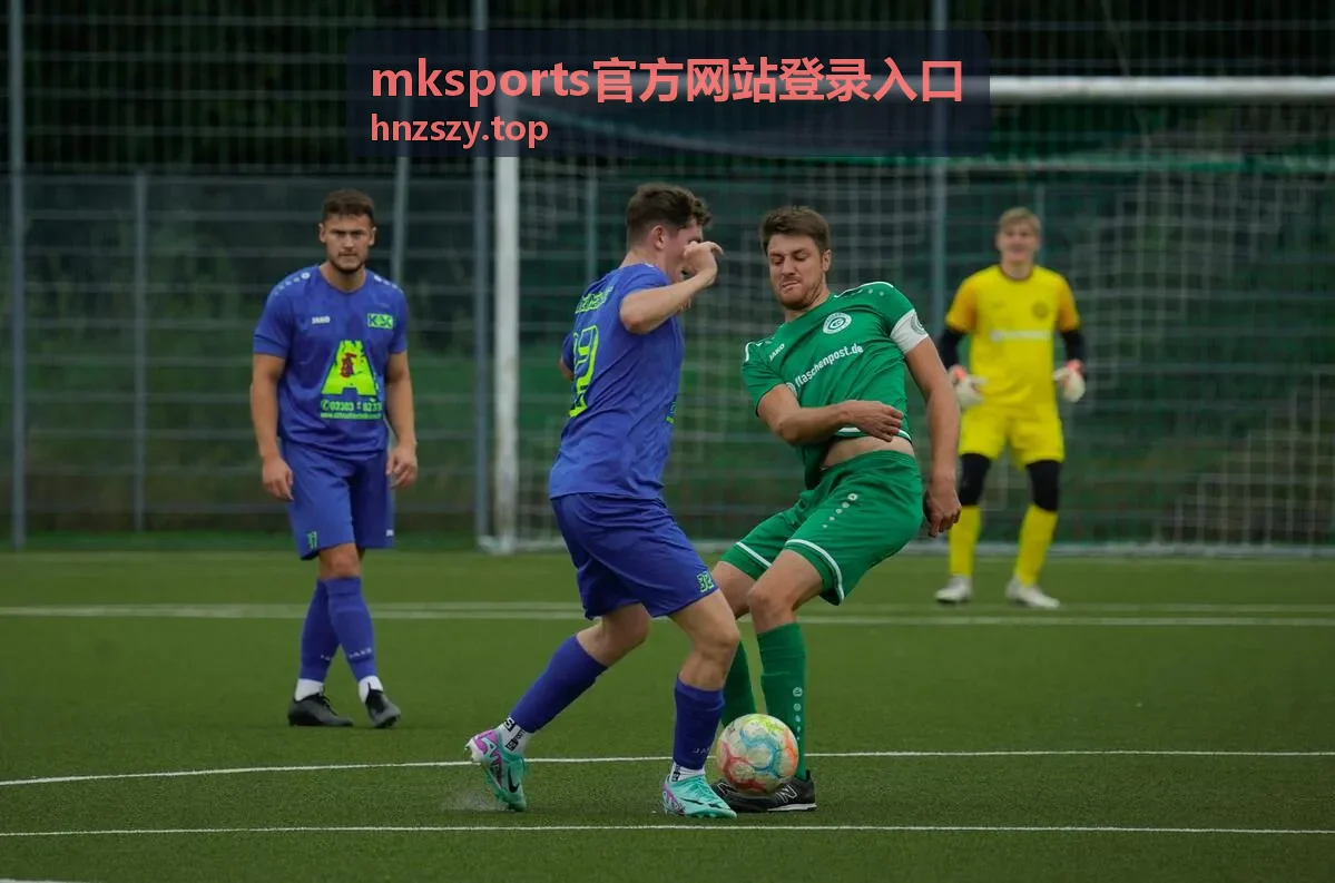 mksports官方网站登录入口操作流程的分步核对示意