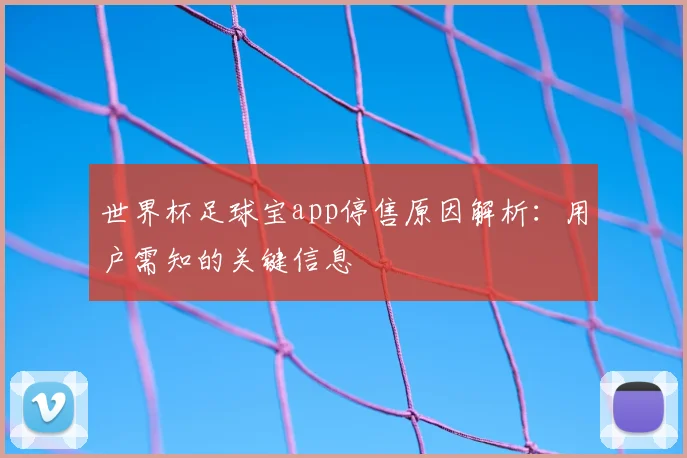 世界杯足球宝app停售原因解析：用户需知的关键信息
