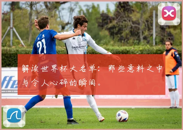 解读世界杯大名单：那些意料之中与令人心碎的瞬间。