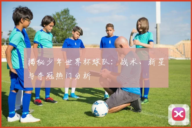 揭秘少年世界杯球队：战术、新星与夺冠热门分析