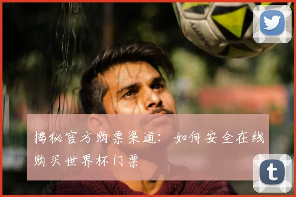 揭秘官方购票渠道：如何安全在线购买世界杯门票