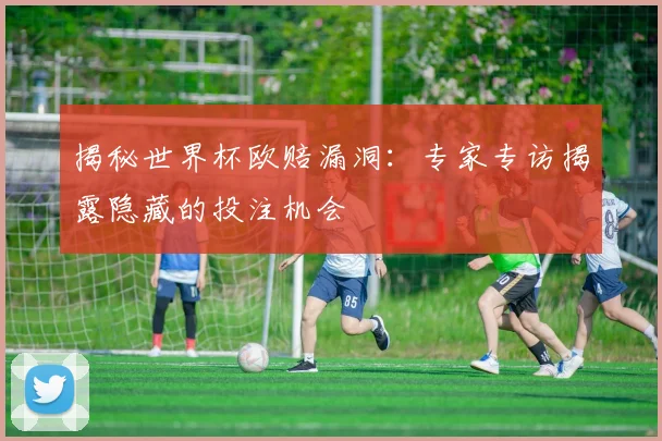 揭秘世界杯欧赔漏洞:专家专访揭露隐藏的投注机会