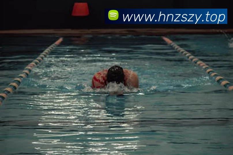 在线体育官网appAPP 封面图